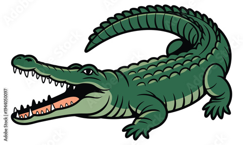 crocodile in a white background