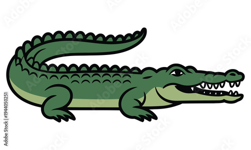 crocodile isolated on white