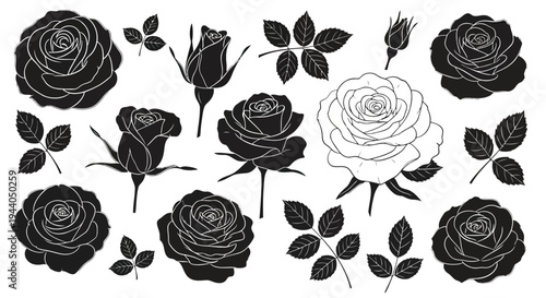Elegant collection of black and white floral illustrations featuring roses and leaves Vector
