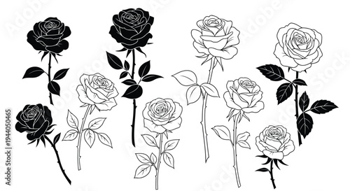 Elegant black and white line drawing collection of various roses and stems Vector