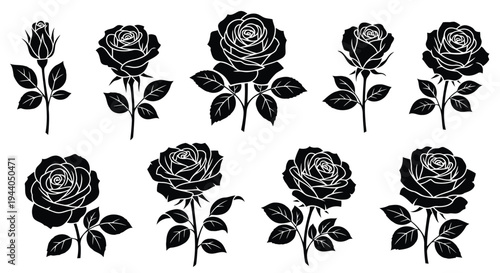 Elegant black and white line art roses arranged in a grid pattern Vector