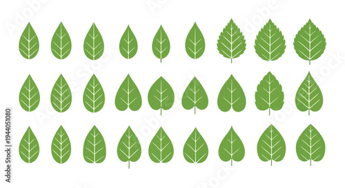 Arrangement of green leaves in a structured grid pattern for design inspiration Vector