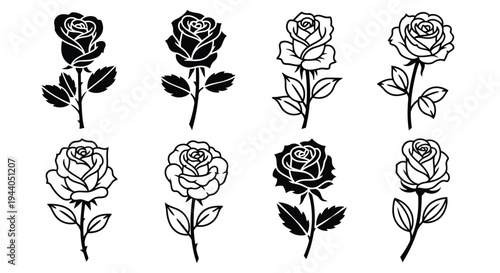 Eight elegant black and white line drawings of roses in various blooming stages Vector