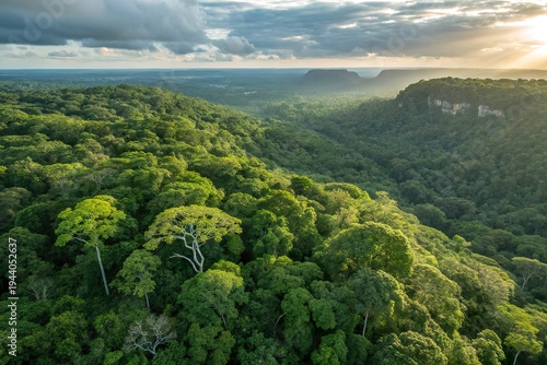 Lush rainforest landscape with towering trees and distant mountains under a dramatic sunset sky