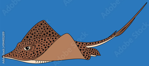 Stylized spotted eagle ray illustration with brown body black spots long tail on blue background, graceful tropical marine animal flat vector design