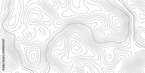 Geographic abstract pattern. The topo contour or wallpaper. Mountain trail terrain or path.The stylized height of the topographic map contour in lines and contours isolated on transparent.
