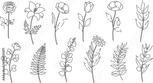 Set of 12 hand-drawn outline floral vector illustrations with roses, lilies, tulips, and various leaves, ideal for wedding invitations and botanical designs