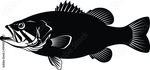 Detailed black silhouette of a largemouth bass fish with open mouth for fishing tournaments, aquatic wildlife, nature sports, and seafood restaurant vector. (22 words)