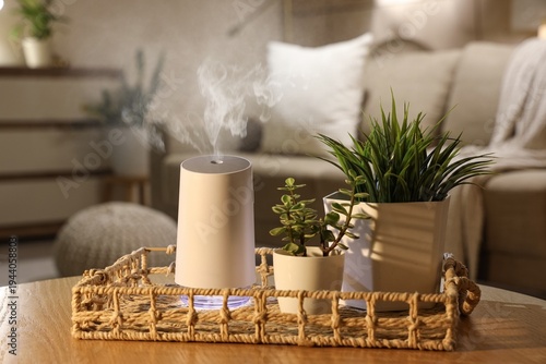 Modern air humidifier and h...