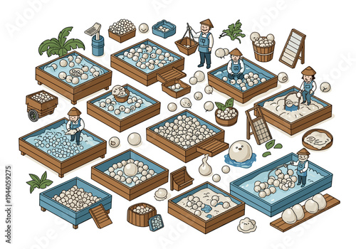 Illustration of farmers processing pearls in various stages of production and sorting