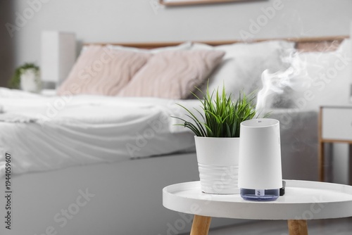 Air humidifier and housepla...