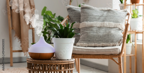 Air humidifier with plant o...