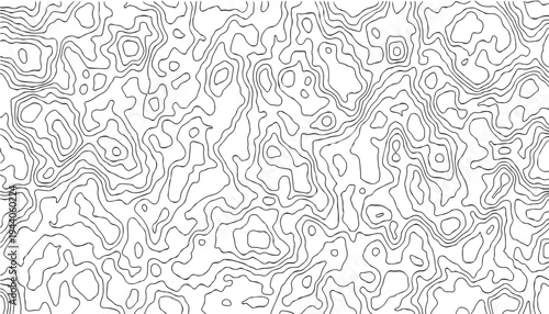 Topographic Contour Line Pattern Background Abstract Black And White Terrain Texture.