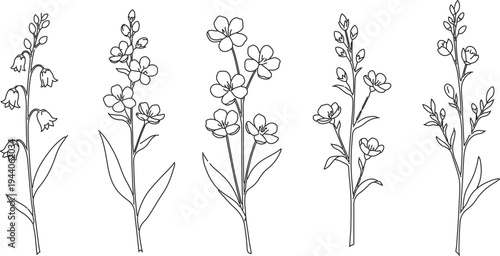 Set of 5 hand-drawn outline spring flower icons vector, black and white botanical illustrations for design elements