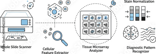 Diagram illustrates the automated workflow for whole slide scanning, cellular feature extraction, and diagnostic pattern recognition in pathology.