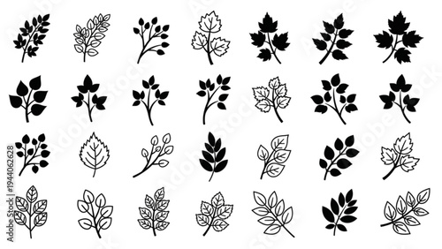 A collection of various leaf and plant illustrations are shown in black.