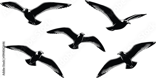 Flock of five seagulls flying in the sky, black and white vector silhouette isolated on a white background, wildlife illustration.