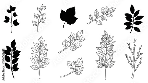 Various leafy plants and foliage are illustrated in black and white.