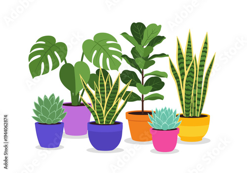 Collection of various potted houseplants in colorful pots, flat design illustration