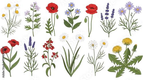 Vibrant flowers bloom in a lush garden filled with green leaves and colorful petals.