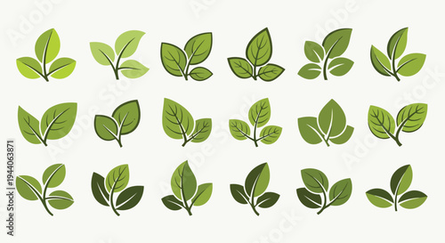 Collection of stylized green leaves arranged in a decorative pattern Vector