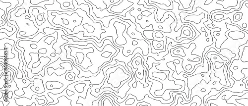 Topographic Contour Line Pattern Background Abstract Black And White Terrain Texture.