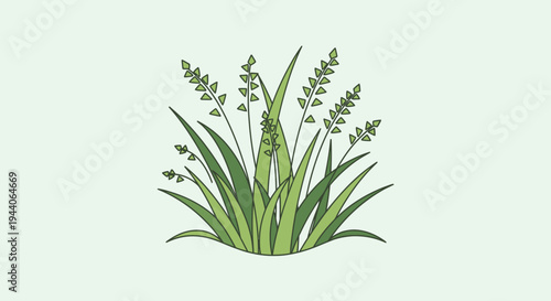 Illustration of a Lush Green Grass Plant with Seed Heads.