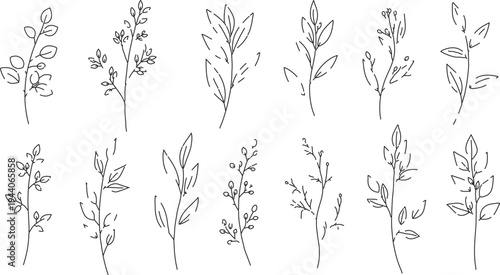 Set of 12 hand-drawn botanical line art vector illustrations featuring delicate leaves and branches, perfect for natural and organic designs