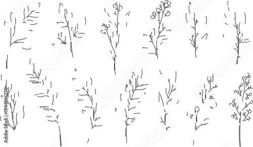 Set of 12 Hand-Drawn Minimalist Botanical Line Art Vector Illustrations for Nature-Inspired Design and Organic Branding