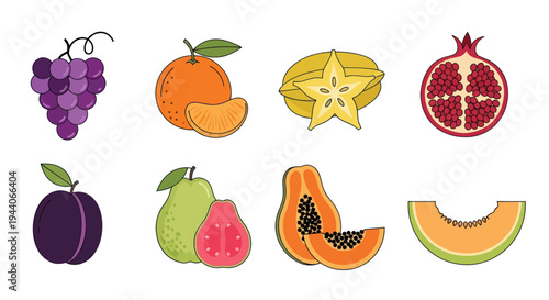 Colorful fruits vector illustration