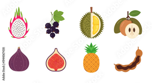 Colorful tropical fruit assortment illustration