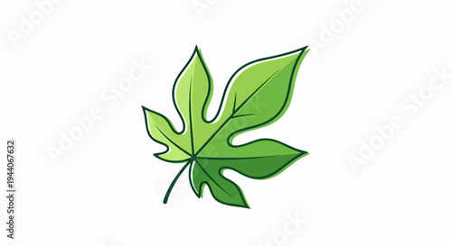 A simple green leaf illustration with distinct veins and outlines