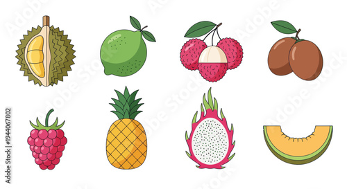 Colorful tropical fruits illustration