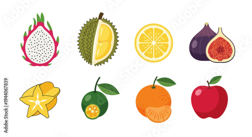 Colorful tropical fruits illustration