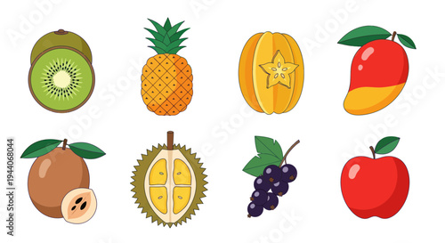 Colorful tropical fruits illustration