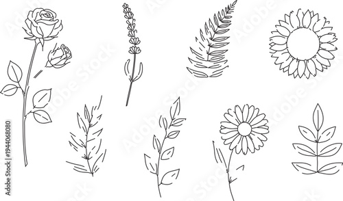 Set of 8 hand-drawn outline floral elements vector illustration. Includes rose, lavender, fern, sunflower, daisy, and various leaves for botanical designs.