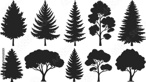 Collection of pine and deciduous tree silhouettes, detailed forest vector set for landscape design, botanical illustration, nature clipart elements