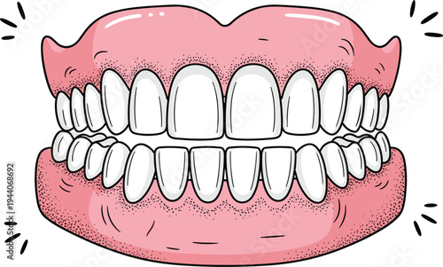 Human teeth and gums anatomy vector illustration showing dental structure with upper and lower jaw, oral healthcare concept isolated