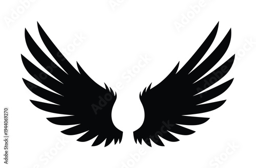Vector featuring two black symmetrical wings spread out against a white background