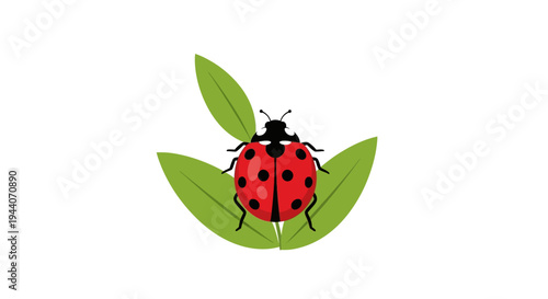 Red Ladybug with Black Spots on Green Leaves.