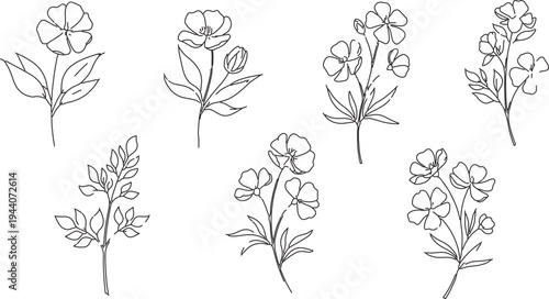Set of 7 hand-drawn outline flower vector illustrations, delicate botanical line art for wedding invitations, branding, and decor