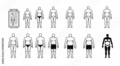Body Type Chart Illustrating Different Human Figures.