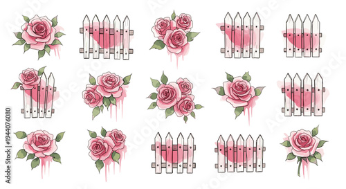 Charming pink roses and picket fences in a watercolor illustration style