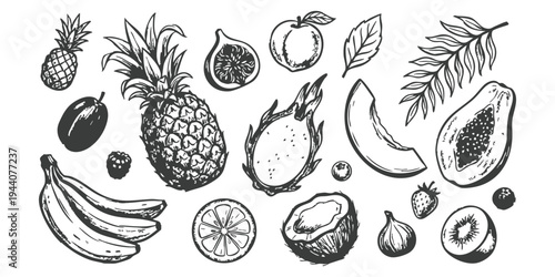 Vintage hand-drawn tropical fruit collection featuring pineapple, dragon fruit, papaya, and banana sketches on white background vector illustration