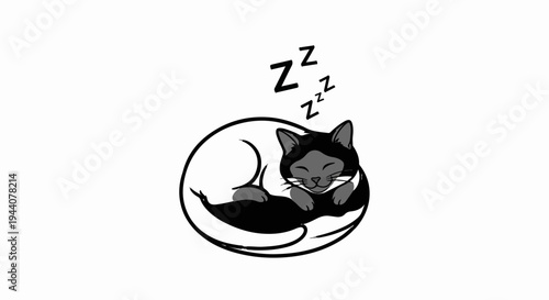 A black and grey cat sleeps curled in a circle with z's above