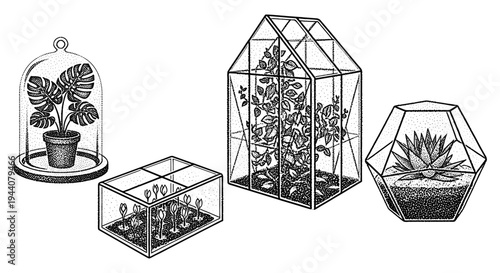 Collection of diverse glass plant enclosures with various botanical specimens