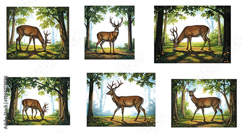 Majestic deer grazing and walking through a sun-dappled forest with lush green foliage