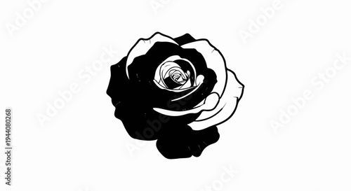 A stark black and white graphic illustration of a single rose in full bloom