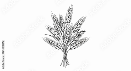 Bunch of stylized wheat stalks tied with string, presented on a white background