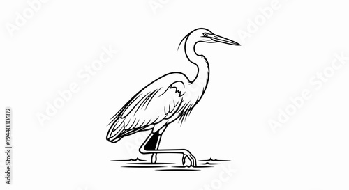 A stylized black and white illustration of a heron standing in water